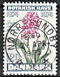 FRIMÆRKER DANMARK | 1974 - AFA 578 - Botanisk Have 100 år. - 120 øre blågrøn/violet/grøn - Pragt Stemplet Nørresundby