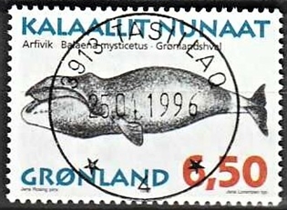 FRIMÆRKER GRØNLAND | 1996 - AFA 293 - Grønlandske hvaler I - 6,50 kr. matrød/flerfarvet - Lux stemplet