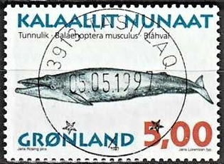 FRIMÆRKER GRØNLAND | 1997 - AFA 308 - Grønlandske hvaler II - 5,00 kr. matrød/flerfarvet - Lux stemplet