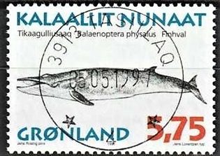 FRIMÆRKER GRØNLAND | 1997 - AFA 309 - Grønlandske hvaler II - 5,75 kr. matrød/flerfarvet - Lux stemplet