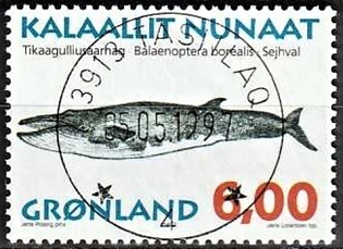 FRIMÆRKER GRØNLAND | 1997 - AFA 310 - Grønlandske hvaler II - 6,00 kr. matrød/flerfarvet - Lux stemplet